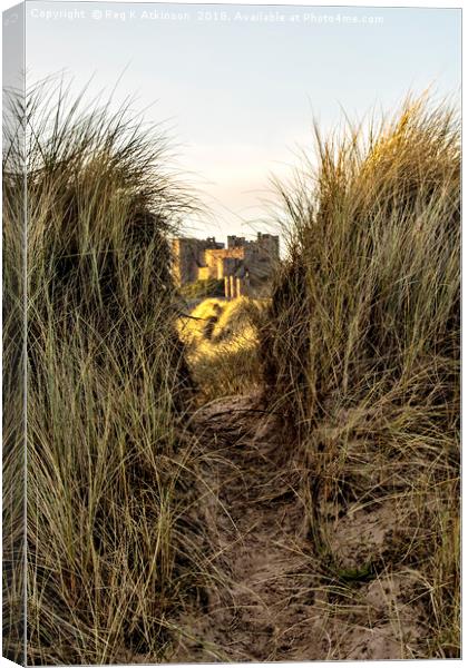 Bamburgh Through The Dunes Canvas Print by Reg K Atkinson