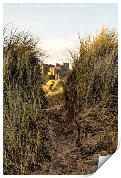 Bamburgh Through The Dunes Print by Reg K Atkinson