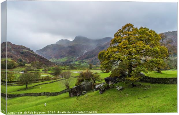 The Langdale valley Canvas Print by Rob Mcewen