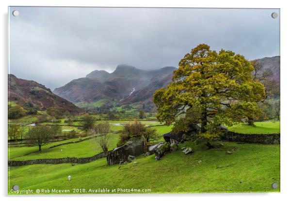 The Langdale valley Acrylic by Rob Mcewen