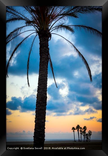 Palms on a Beach Framed Print by Svetlana Sewell