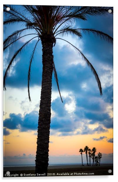 Palms on a Beach Acrylic by Svetlana Sewell