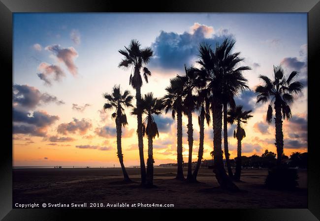 Evening El Vendrell Framed Print by Svetlana Sewell