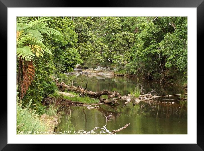 Broken River, Qld, Australia.  Framed Mounted Print by Margaret Stanton