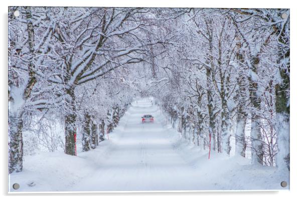 white road Acrylic by Hamperium Photography