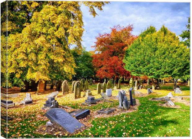 Autumn Colours in Cemetery Canvas Print by Nigel Draper