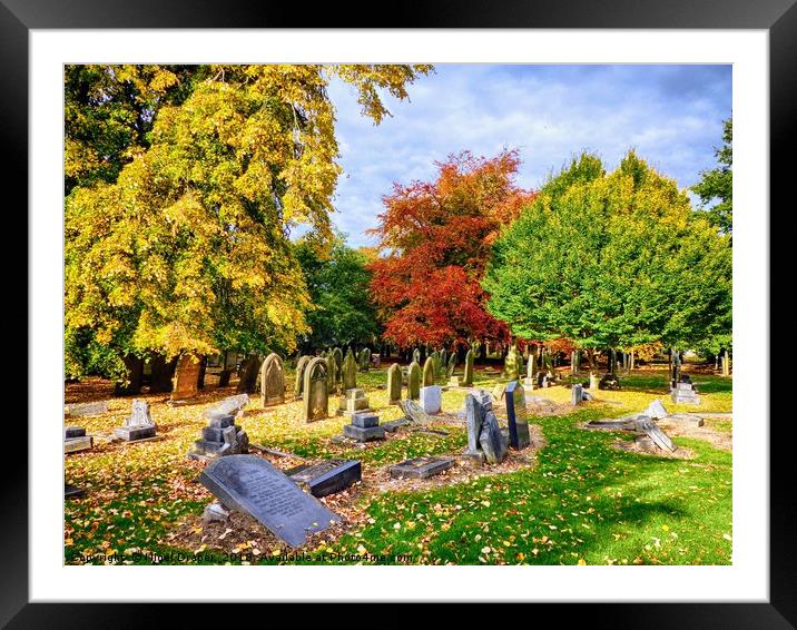 Autumn Colours in Cemetery Framed Mounted Print by Nigel Draper
