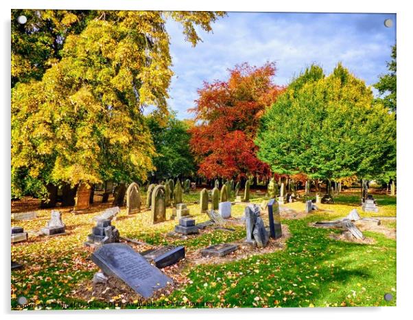 Autumn Colours in Cemetery Acrylic by Nigel Draper