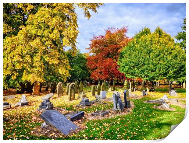 Autumn Colours in Cemetery Print by Nigel Draper