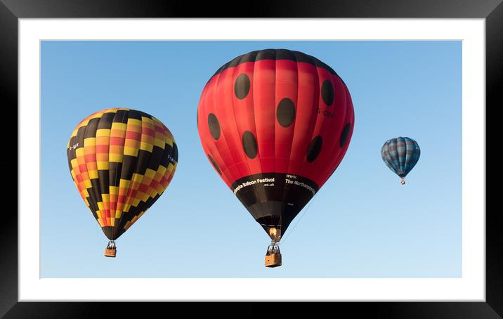 Balloon Rides Framed Mounted Print by David Semmens