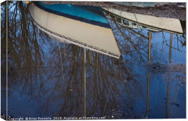 Reflections Canvas Print by Brian Roscorla