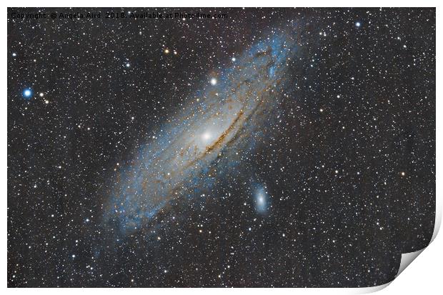 Andromeda Galaxy. Print by Angela Aird
