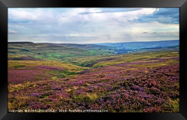 ""..And the purple 'O' the Heather" Framed Print by ROS RIDLEY