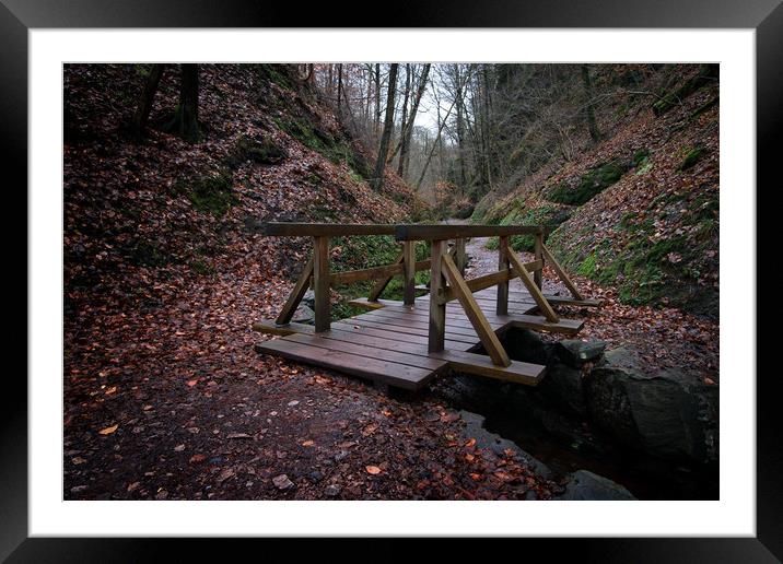 On The Way To The Drachschlucht Gorge Framed Mounted Print by rawshutterbug 