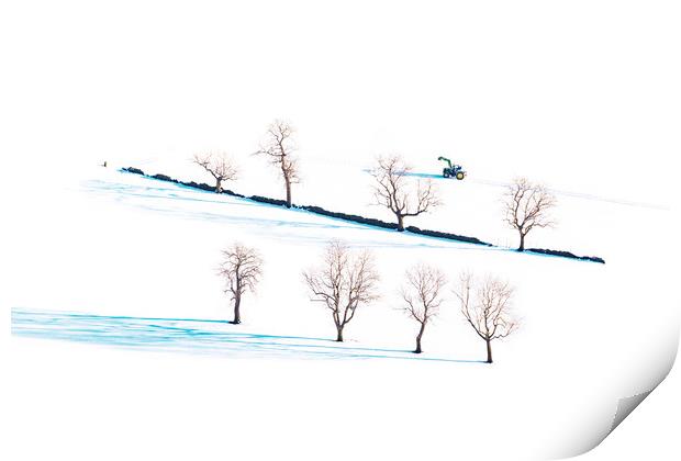 Winter trees  Print by John Finney