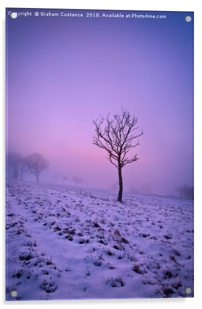 Winter Mist Acrylic by Graham Custance