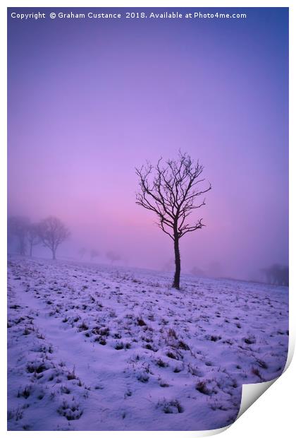 Winter Mist Print by Graham Custance
