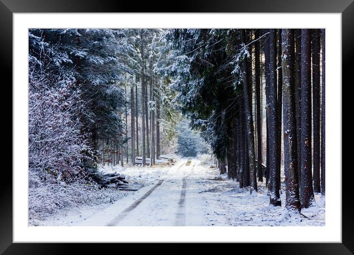 Road in winter forest. Framed Mounted Print by Sergey Fedoskin