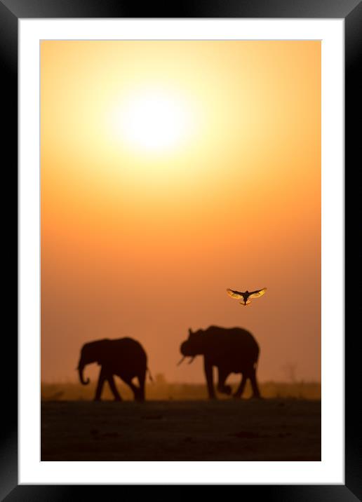 Guardian angel Framed Mounted Print by Villiers Steyn