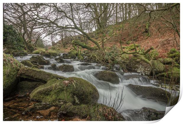 River Taw below Belstone Print by Images of Devon