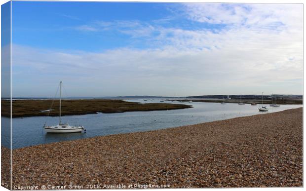 Milford on Sea, Hampshire Canvas Print by Carmen Green