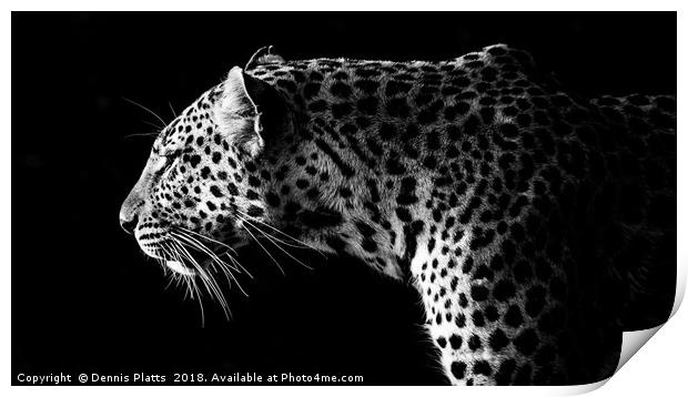 Leopard Stare Print by Dennis Platts