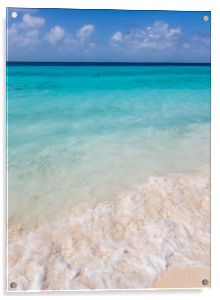  The beautiful Klein Curacao deserted island  Cura Acrylic by Gail Johnson