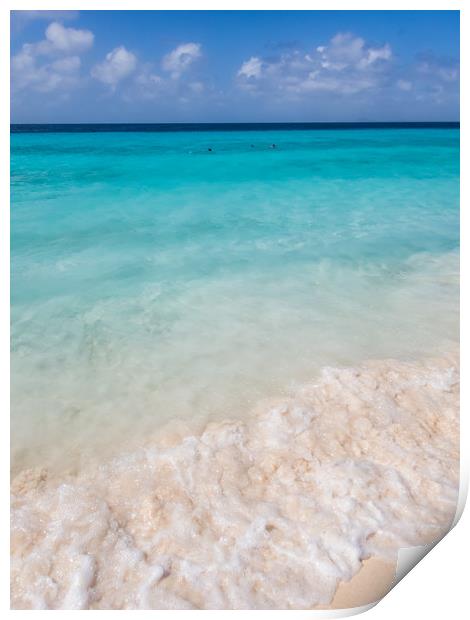  The beautiful Klein Curacao deserted island  Cura Print by Gail Johnson