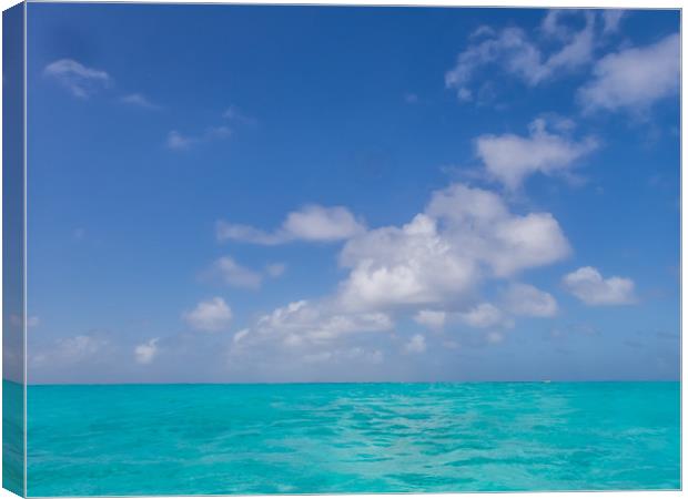  The beautiful Klein Curacao deserted island  Cura Canvas Print by Gail Johnson