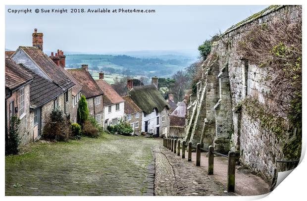 Dorset's Historic Gold Hill Vista Print by Sue Knight