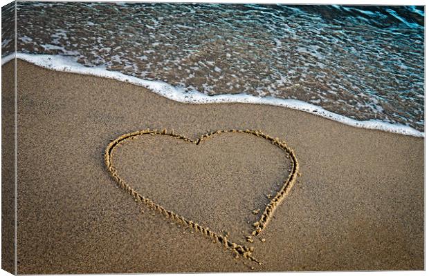 Love on the Beach Canvas Print by Roxane Bay