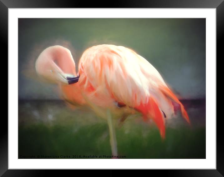 Flamingo blur Framed Mounted Print by Sharon Lisa Clarke
