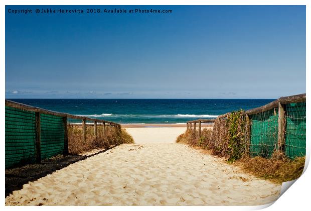 Path to the Beach in Australia Print by Jukka Heinovirta