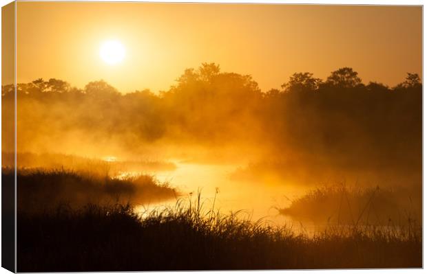 Okavango sunrise Canvas Print by Villiers Steyn