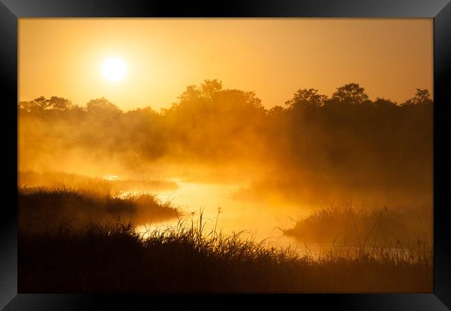 Okavango sunrise Framed Print by Villiers Steyn