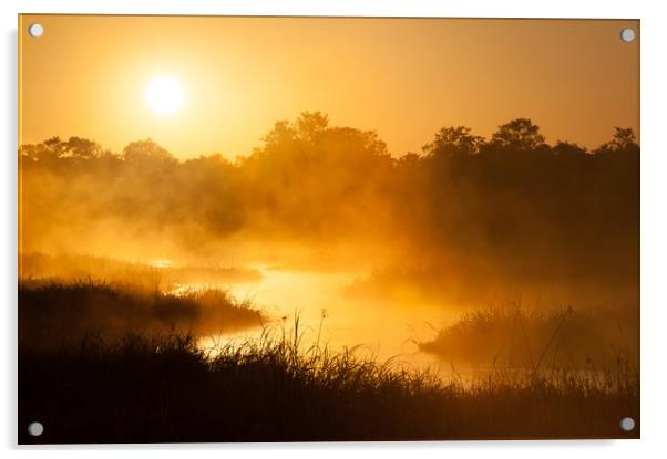 Okavango sunrise Acrylic by Villiers Steyn