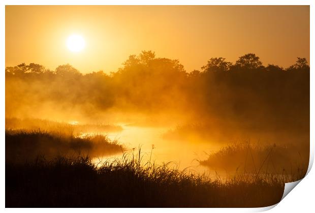Okavango sunrise Print by Villiers Steyn