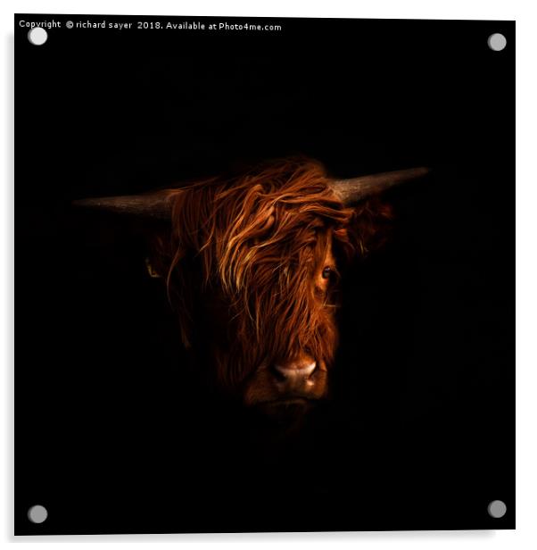 Highland Portrait Acrylic by richard sayer