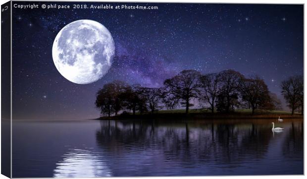 Moonlight Swans Canvas Print by phil pace