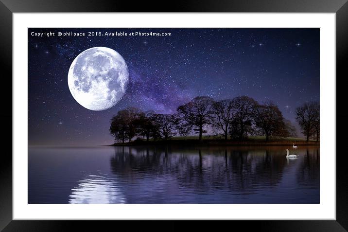 Moonlight Swans Framed Mounted Print by phil pace