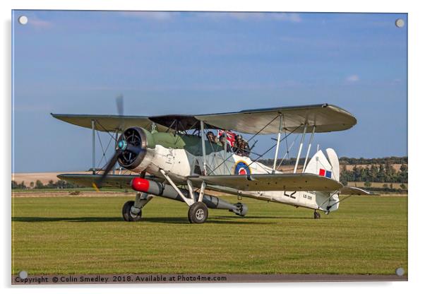 Fairey Swordfish II LS326/L2 G-AJVH  Acrylic by Colin Smedley