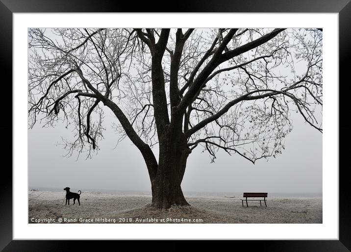 Nature and Dog at Rest Framed Mounted Print by Randi Grace Nilsberg