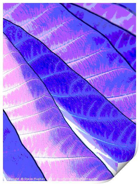 Purple leaves Print by Steve Hughes