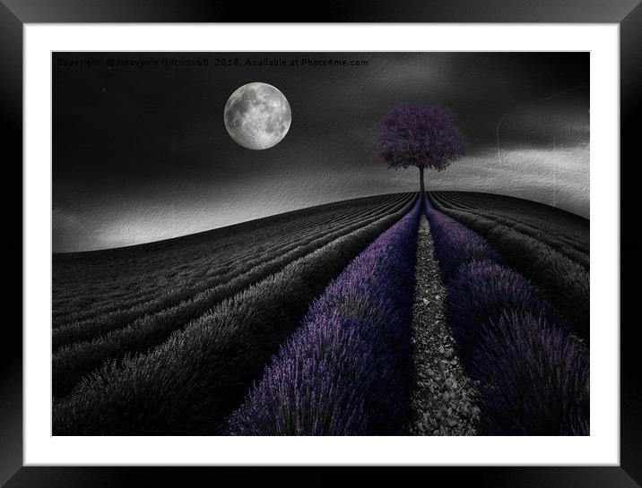 Lavender Hill Framed Mounted Print by Heaven's Gift xxx68