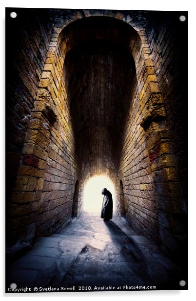 Dark Shadow Acrylic by Svetlana Sewell