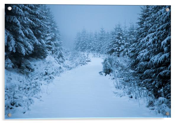 Virgin Snow Acrylic by James Buckle