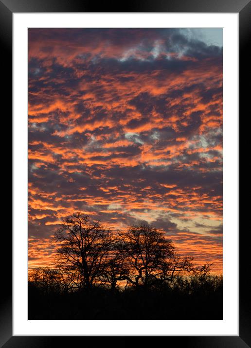 Fiery sky Framed Mounted Print by Villiers Steyn