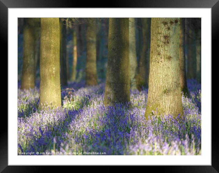 Bluebell Wood Framed Mounted Print by Jim Key