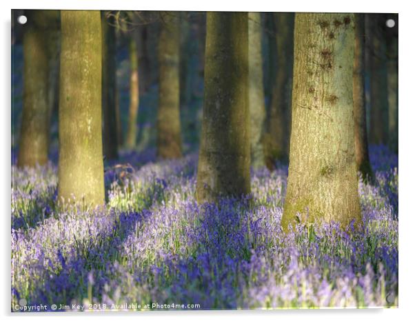 Bluebell Wood Acrylic by Jim Key
