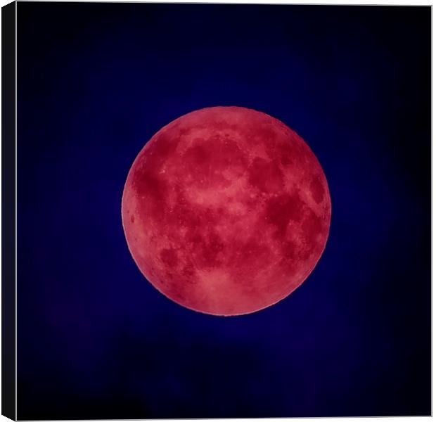 Wolf Moon 2018 Canvas Print by Andrew chittock